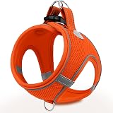 Joytale Step in Dog Harness Soft Mesh Reflective Breathable Easy Walk S Orange