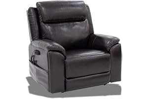 Pride Mobility Sitting Pretty Evolution Collection Electric Power Lift Recliner Chair - 400 lb Capacity, 24" Seat Width, Ideal for Users 5'9" to 6'0", Model LC-435L - Large, Sta-Kleen Chestnut