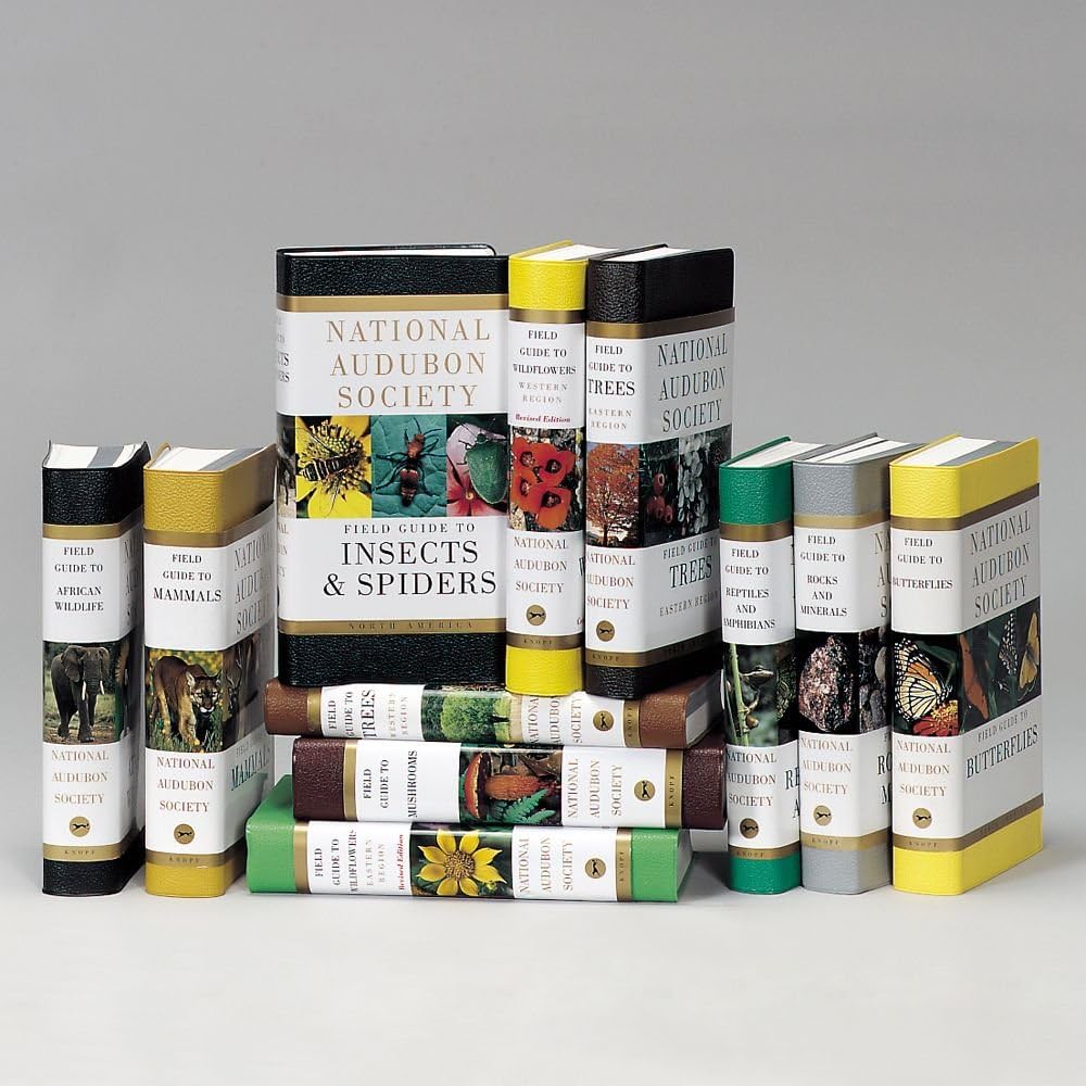 Mushrooms, National Audubon Society North American Field Guide