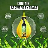 Growlands Carnivorous Plant Food Spray 300 ml Ready to Use Veg Fertilizer view 7