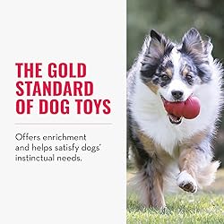 KONG Classic Stuffable Dog Toy - Fetch & Chew Toy