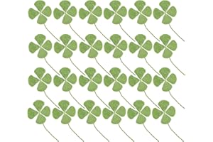 KKC HOME ACCENTS 24 Pcs Four-Leaf Clover Natural Pressed Dried Leaves Real Leaf Plant for DIY Jewelry Art Craft
