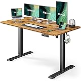 Marsail Electric Standing Desk with LED
