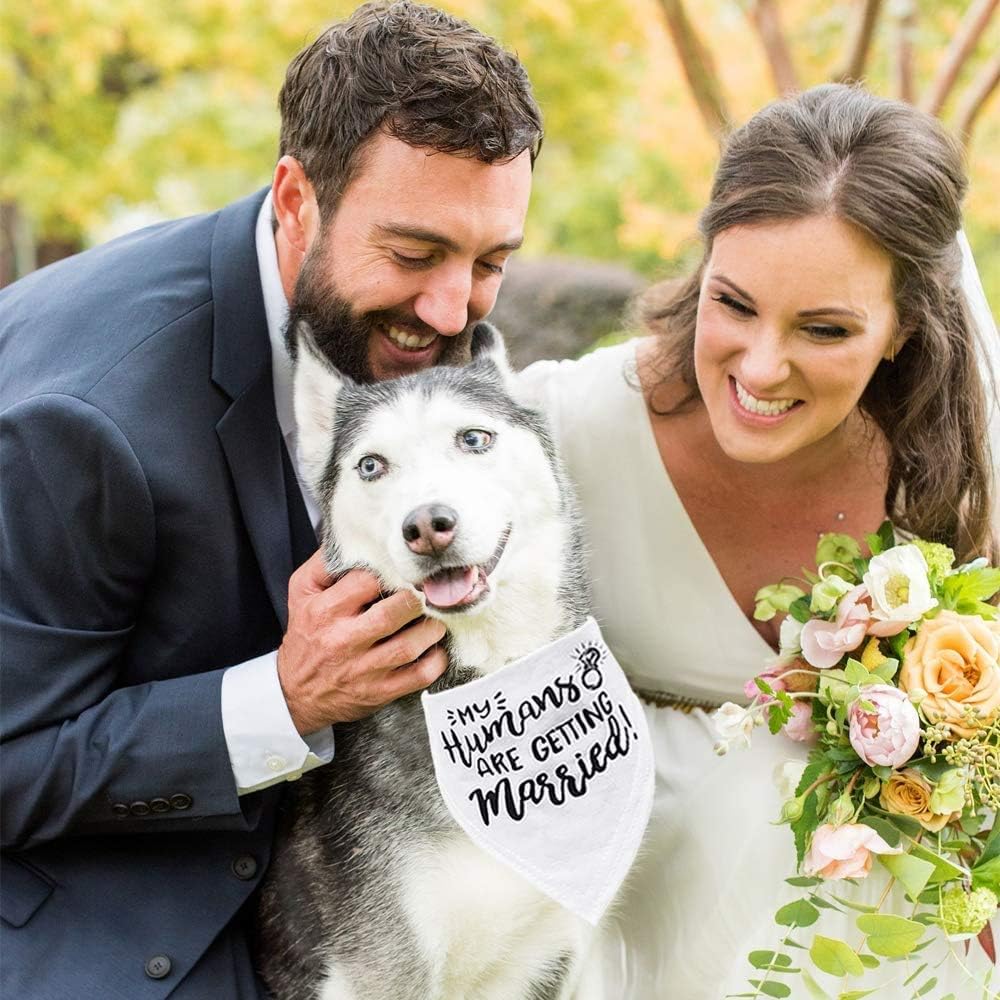 My Humans are Getting Married Dog Bandana, Wedding Dog Bandana, Dog Engagement Announcement, Wedding Photo Prop, Pet Scarf, Pet Accessories (My Humans are Getting Married Dog Bandana) : Pet Supplies