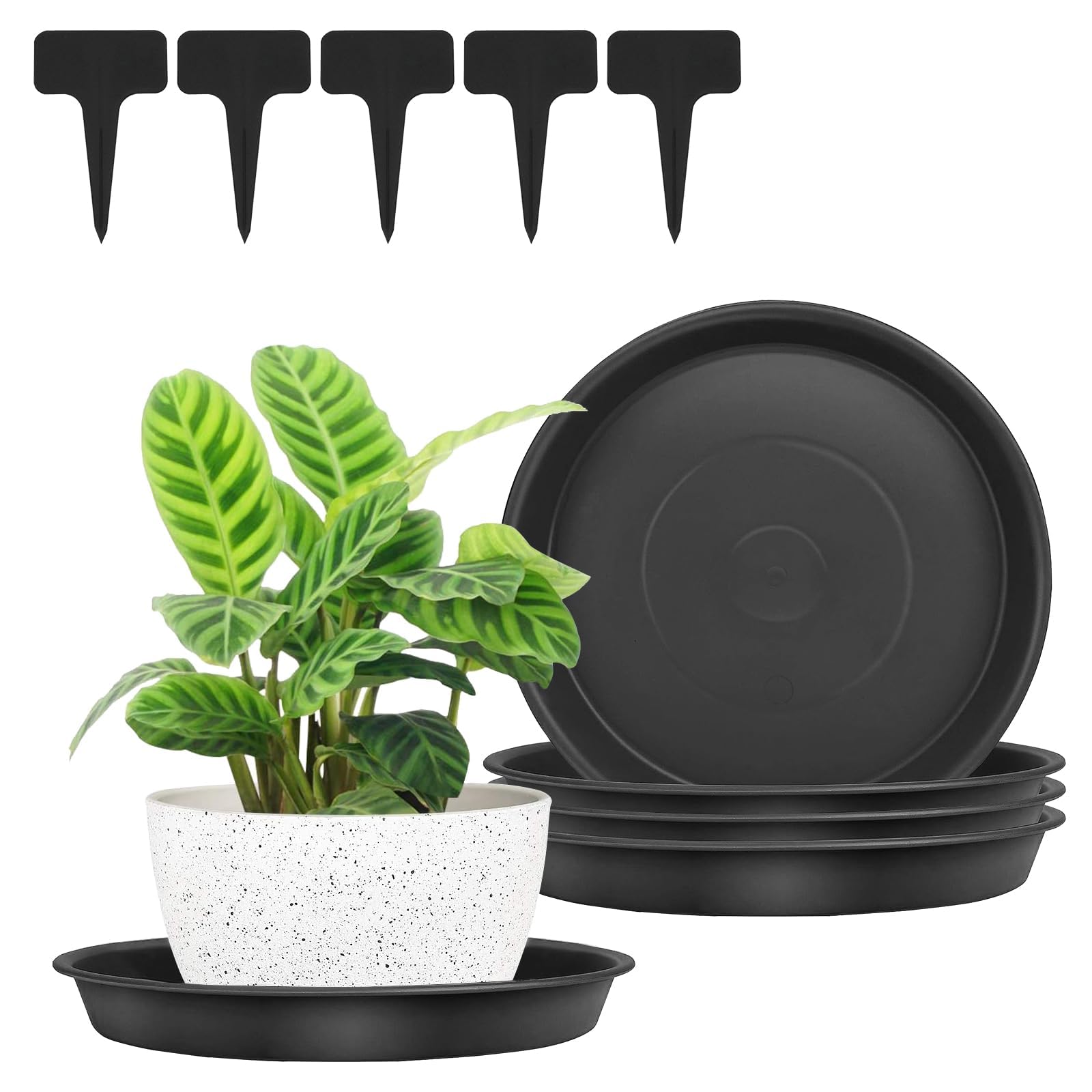 FANWINKJ Plant Pot Saucers Set of 5 with Labels, Heavy Duty Plastic Plant Trays, Water Drip Catcher for Indoor & Outdoor Pots, Multiple Sizes & Colours