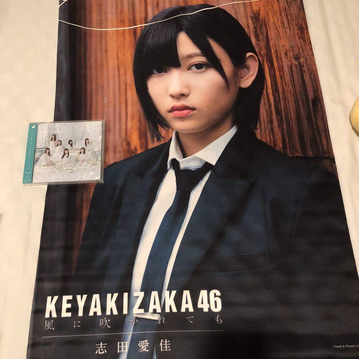 生写真 ポスター アンビバレント 用 風に吹かれても 志田愛佳 巨大タペストリー 神の手 欅坂46 コンプ B07mdsskq1 ひらがなけやき アイドル芸能人グッズ ブランド雑貨総合 Www Anoual Ma