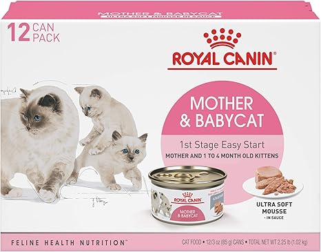 royal canin babycat food