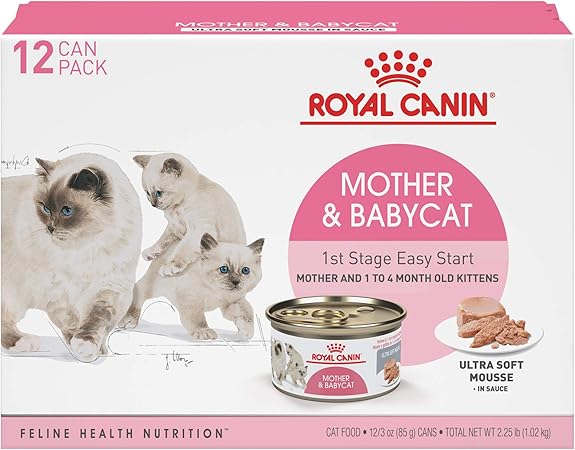 amazon royal canin cat food