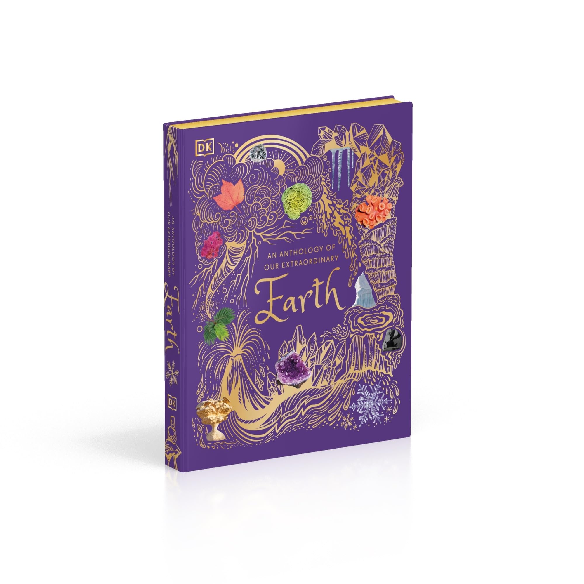 An Anthology of Our Extraordinary Earth (DK Children's Anthologies)