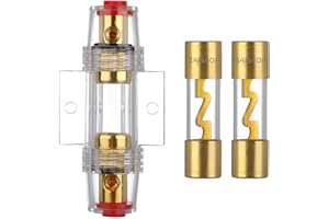 VEXUNGA 1Pcs AGU Inline Fuse Holder Gold Plated with 2Pcs 40 Amp AGU Power Safety Fuse Gold Plated Glass for Car Audio Automo