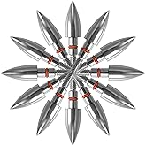 ORRANNI Stainless Steel Archery Field Points,Various Outside Diameter,100/125 Grains,Screw in Archery Field Tips(1 Dozen)