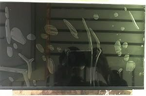 13.3" LCD Screen+Touch digitizer Assembly for DELL inspiron 13 7359 LTN133HL03 FHD