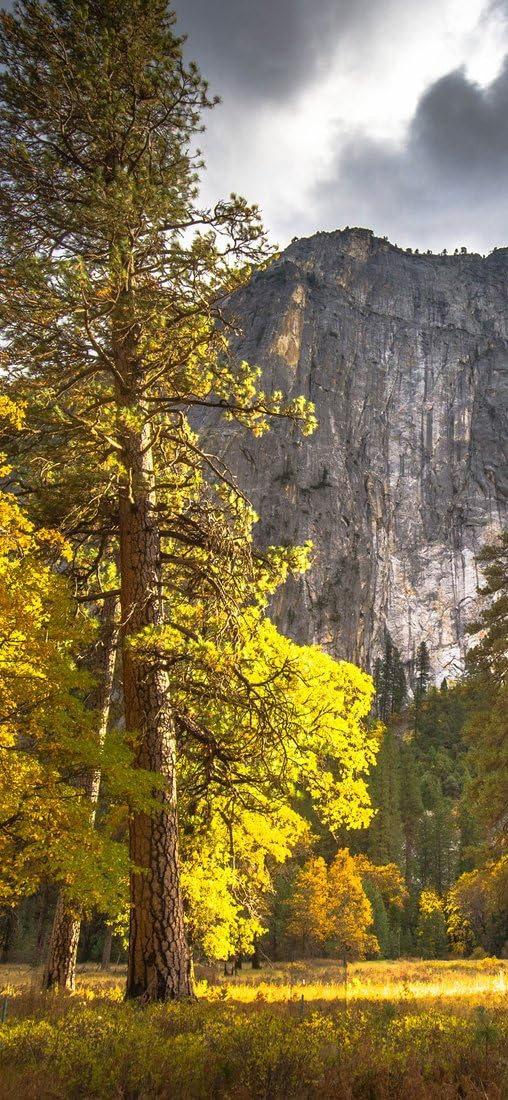 PeelitStickit Mountain, Wall Murals, ID-040, vinyl, Multi-colour