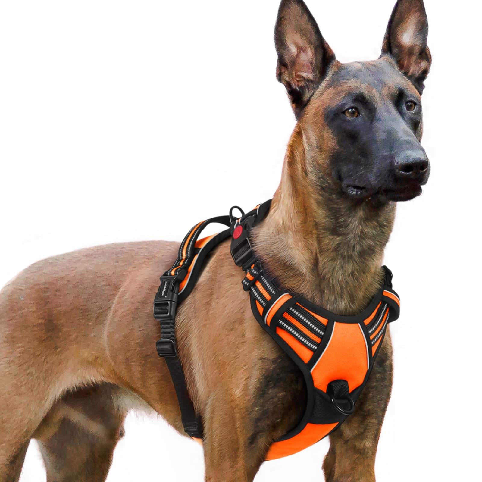 rabbitgoo Dog Harness Large Dog with Neck Release Buckle, No Pull Harness with Front Back Clips, Adjustable Soft Padded with Easy Control Handle, Reflective No-choke Pet Walking Vest, Orange, XL