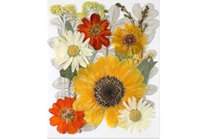 HOPELJ 13Pcs Large Dried Flowers for DIY Art Crafts, Real Natural Pressed Dried Flowers Leaves for Resin Molds Scrapbooking, Candle Making, Nails Decors, Gifts Decoration