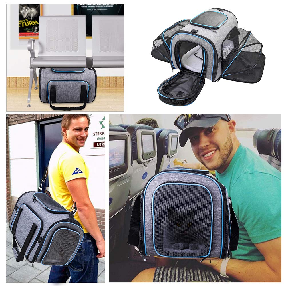 chat Sac de transport pour animaux Compagnie aérienne avec