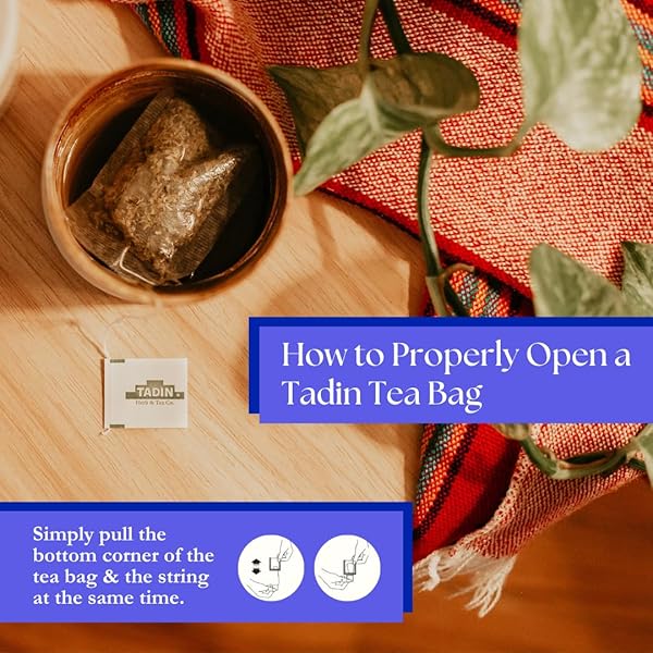 TADIN TURMERIC MANGO GINGER TEA, CONTAINS CAFFEINE, BEST AS HOT TEA, CONTAINS BLACK TEA, 24 TEA BAGS PER BOX, PACK OF 6