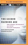 The Second Machine Age: Work, Progress, and Prosperity in a Time of Brilliant Technologies