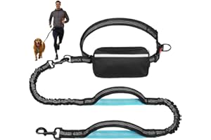 GREGCE Hands Free Dog Leash with Zipper Pouch, Dual Padded Handles Running Leash for Medium and Large Dog, Retractable Bungee Waist Dog Leash for Walking Hiking Running