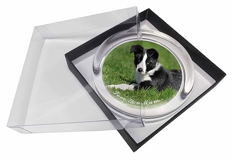 Advanta – Briefbeschwerer ad-bc14lympw'Border Collie Dog Love You Mum' Glas Briefbeschwerer in Geschenkbox