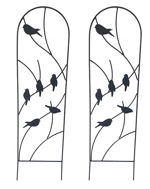 Ruddings - Juego de 2 Marcos de Madera para jardín, diseño de ...