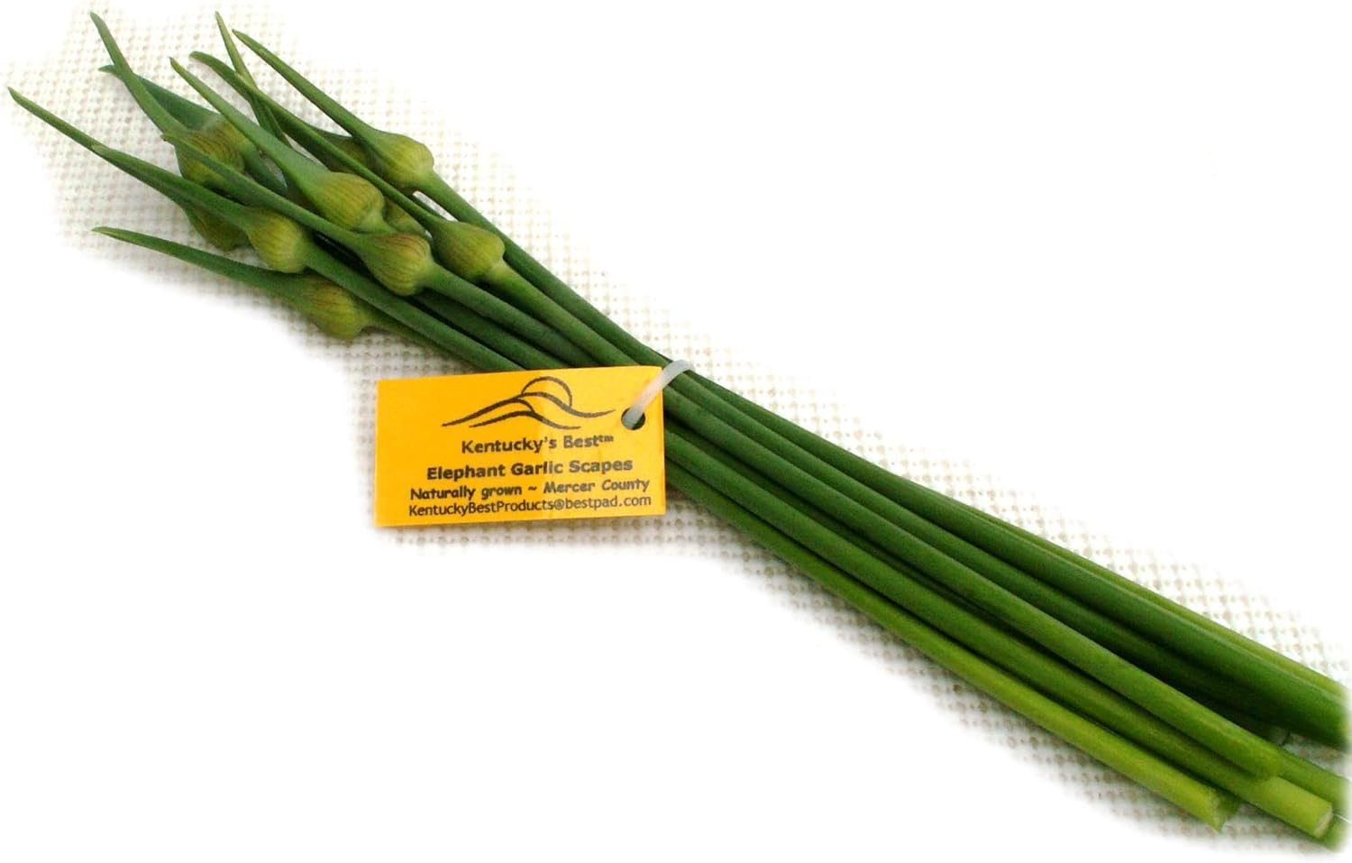 Kentucky’s Best Gourmet Elephant Garlic Scapes, 4 Ounces