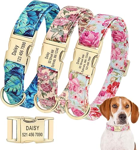 chainmail dog harness