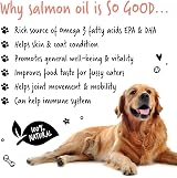 BUGALUGS Scottish Salmon Oil For Dogs & Cats 500ml view 6
