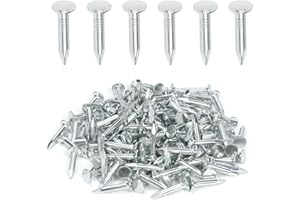 Keadic 300Pcs 1" Galvanized Roofing Felt Nails Bulk Set, 25mm Broad Head Pins House Hardware Nail for Roofing Felt Insulation