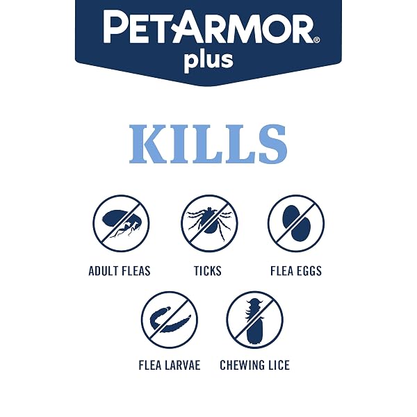 PETARMOR PLUS FLEA AND TICK PREVENTION FOR CATS, CAT FLEA AND TICK TREATMENT, 6 DOSES, WATERPROOF TOPICAL, FAST ACTING, CATS OVER 1.5 LBS