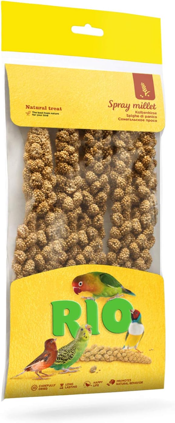 Rio Spray Millet for Birds Amazon.co.uk Pet Supplies