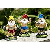 Mrsivrop Funny Workout Garden Gnomes Statues 3pcs 6.2 Inches Outdoor Funny The Muscular, Barbell and Dumbbell Gnomes Decorati