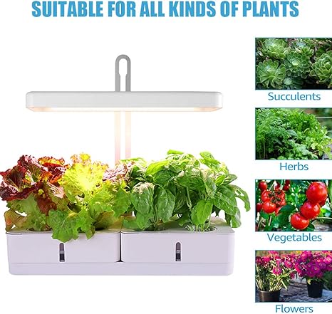 Amazon Co Jp 屋内ガーデンキット 10ポッド屋内ガーデン発芽キット 植物愛好家のための自己散水ハーブガーデン ローズマリー ラベンダー 種子diyギフト ホーム キッチン