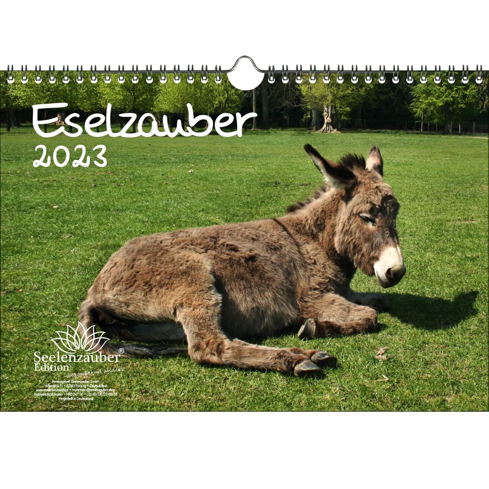 Eselzauber DIN A4 Calendar for 2023 Donkey - Seelenzauber