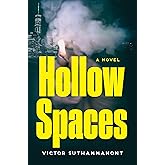 Hollow Spaces: A Novel