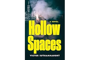 Hollow Spaces: A Novel