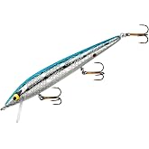 Smithwick Suspending Rattlin' Rogue Fishing Lure