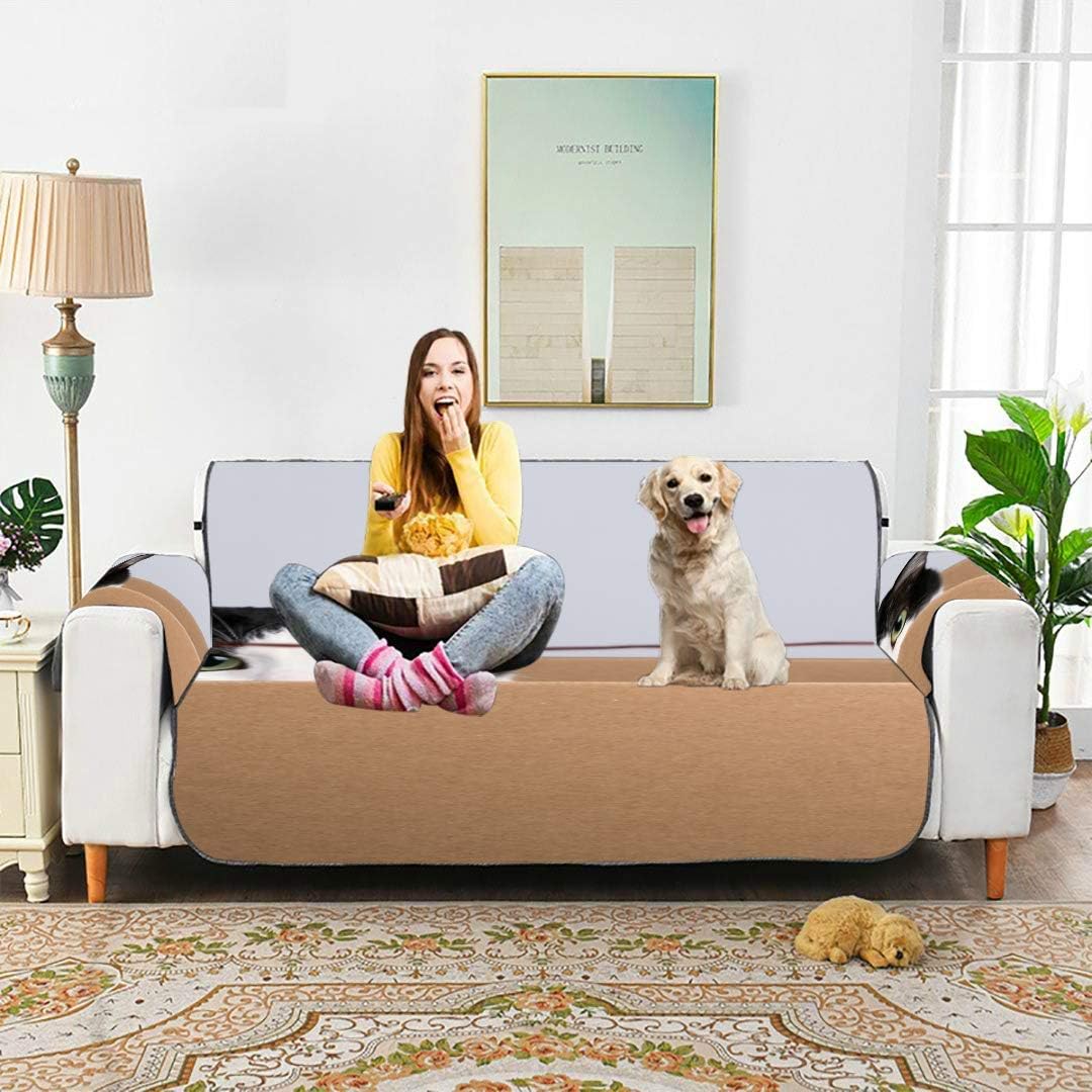protective couch covers dogs