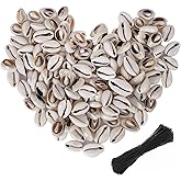 150 PCS 0.63"-0.71" Natural Strong Cowrie Shell Beads Smooth Cut Oval Seashells, Beach Seashells with Big Hole for DIY Craft Jewelry Making, Adorning Hair Locks and Braids