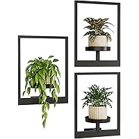 Bamworld Wall Planters for Indoor Plants Hanging Planter for Indoor Plants Plant Stand Indoor Wall Decor Hanger Window Plant 