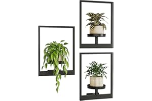 Bamworld Wall Planters for Indoor Plants Hanging Planter for Indoor Plants Plant Stand Indoor Wall Decor Hanger Window Plant 