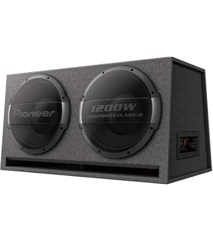 Amazon.com: Pioneer TS-WX300A in Car Amplified Subwoofers