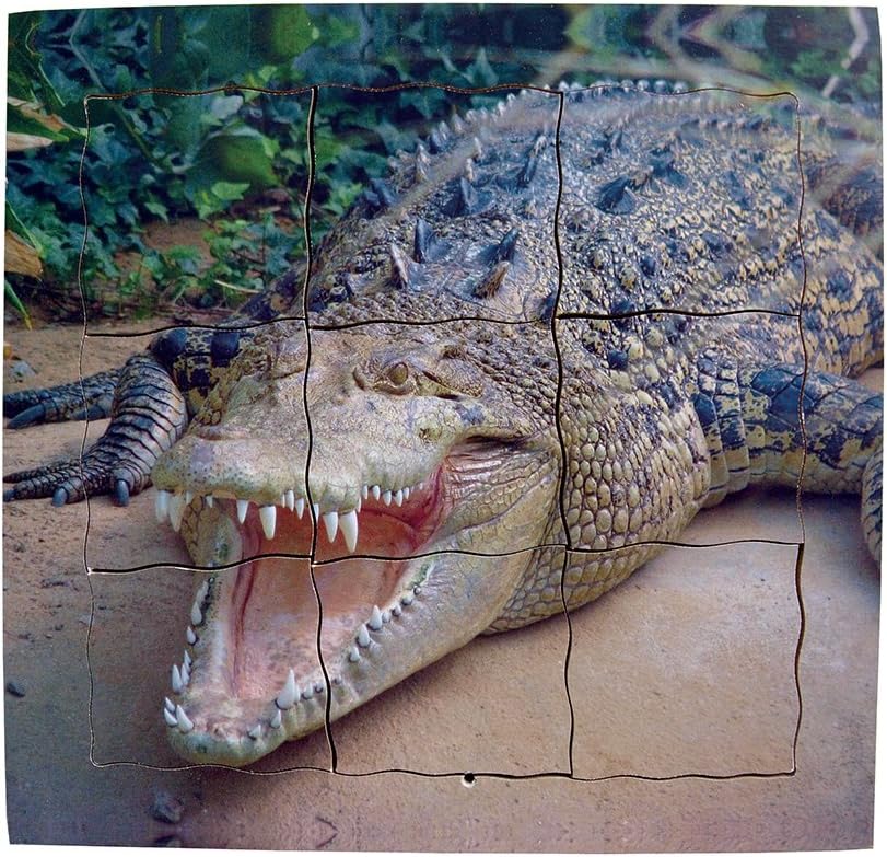 Just Jigsaws JJ641 Crocodile Layered Life Cycle Tray Puzzle