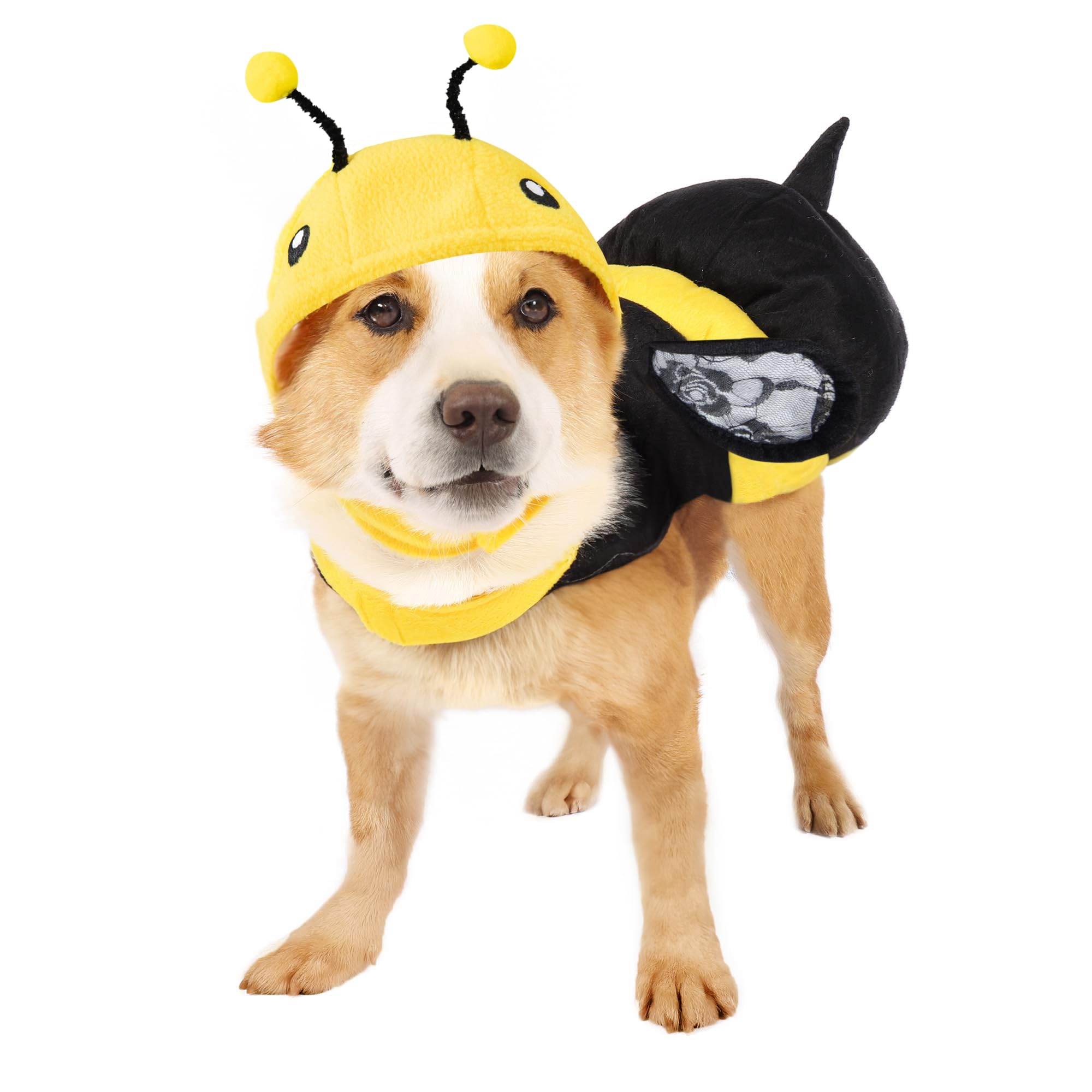 Bee Costume For Dogs