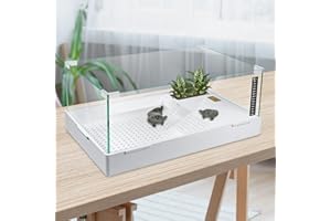 BETAZOOER Turtle Tank with Adjustable Water Pump Filter, Full View Visually Tortoise Aquarium Habitat, Glass Material Easy Changing Water&Clean for Small Amphibious Creatures Reptiles (23"×13.5"×10")