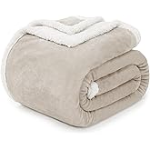 BEAUTEX Sherpa Fleece Throw Blanket Twin Size for Couch - Thick and Warm Blanket for Winter, Fluffy Flannel Plush Twin Blanket, Fuzzy Beige Cuddle Blankets for Couch Bed Sofa (60" x 80", Beige)
