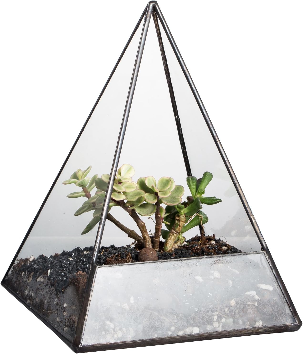 NCYP 19cm Height Modern Pyramid Glass Geometric Terrarium for Succulent