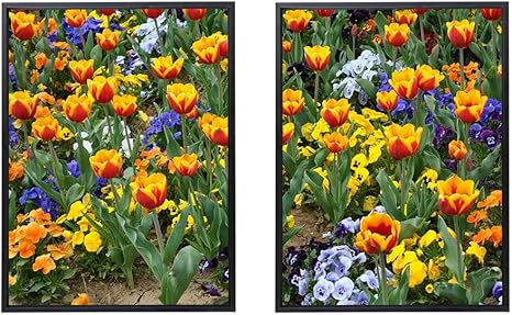 Amazon Co Jp 30x40cm X2枚 ライト高級 クリスタル磁器の装飾画 黒アルミ合金フレーム チューリップパンジー花花壇明るい公園 アートパネル 壁掛け絵画 インテリアアート 現代 壁飾り 部屋飾り 壁ポスター 絵画 玄関 おしゃれ モダン 壁掛け ホーム キッチン