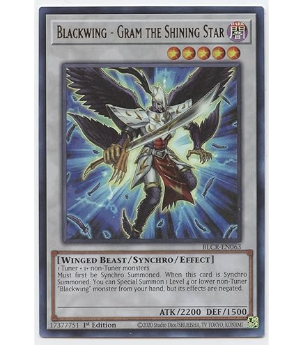 Amazon.com: Yu-Gi-Oh! - Blackwing - Silverwind The Ascendant (DP11