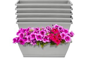 OSMOFUZE Window Box Planter, 6 Packs 17 Inches Rectangle Planters Box with Drainage Holes and Trays, Vegetable Planters for Windowsill Patio Garden Home Decor Porch Yard Light Gray